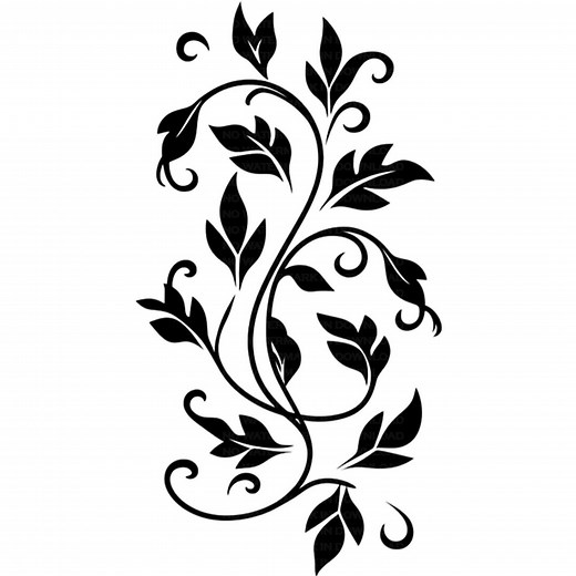 Vines and Leaves Clipart: Black Decorative Design (instant Download) - Etsy