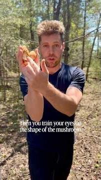 The Morel Mushroom Hunting Secret