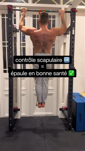 Mobility Specialist on Instagram: "Tu passes à côté d’un point essentiel pour ta mobilité d’épaule si tu ne travailles pas ton contrôle scapulo-thoracique. Une scapula qui bouge bien, qui se place au bon moment et avec le bon timing, c’est une épaule qui peut produire plus de force, être plus fluide, et surtout beaucoup plus tolérante aux contraintes. Tu peux t’étirer autant que tu veux… si ton omoplate ne sait pas stabiliser et accompagner ton bras, tu plafonneras toujours. Travaille le mouveme