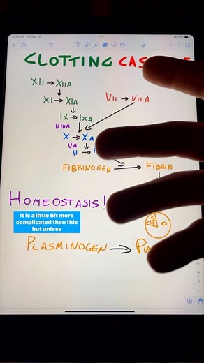 3.8K views · 116 reactions | Here’s a quick lesson from @maccheronimedic on how tranexamic acid works! #paramedicstudent #emtstudent #emtschool #emt #emtlife #paramedic #paramedicschool #paramedicos #paramediclife #paramedicscience #paramedical | Master Your Medics | Facebook