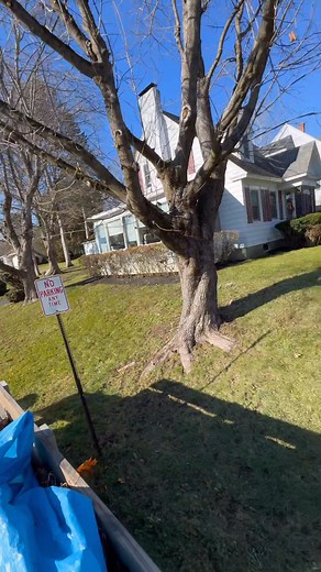 Crazy how fast a work season comes to an end. When you get roughly 25 ish weeks of good weather to do as much as you possibly can & barely get a free moment to sit back and take it all in.. The next thing you know… BOOM!! 3 jackets, 2 pairs of pants, 4 layers of underwear, 6 pairs of socks, 2 pairs of gloves, a spongebob hat & a frozen 🍆 …and I am f**king shoveling 🪏🌨️❄️😑 | Jared Gendreau