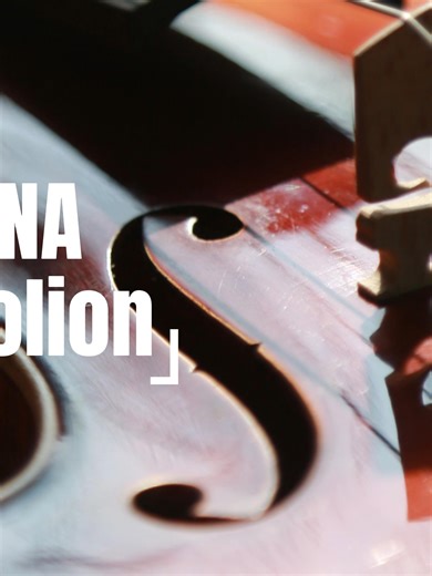 The Impact of the Right Violin for Kids