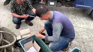 2.2K views · 20 reactions | Residents of South Korea's Anma island are plagued with deer who destroy local crops and trees, and are petitioning the authorities to label the herd as ‘harmful wildlife’ to clear the way for culling to take place https://reut.rs/3zpF9R3 | Reuters | Facebook