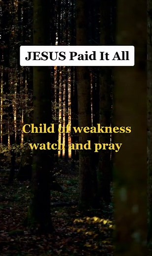 JESUS Paid It All - Worship Song with Lyrics