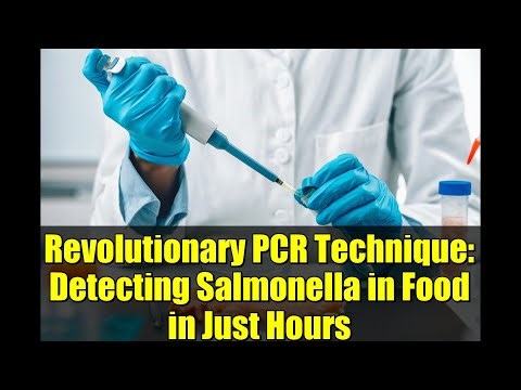 Revolutionary PCR Technique: Detecting Salmonella in Food in Just Hours