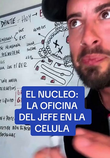 El Núcleo: La Oficina del Jefe de la Célula