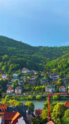 Heidelberg old town #followersreelsfypシ゚viralシfypシ゚viralシalシ #viralvideoシ #Viralシ #viral | Germany in Elegance