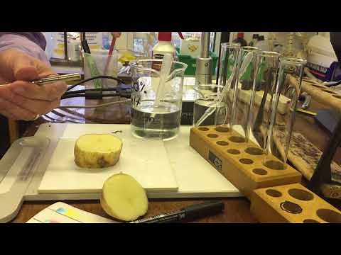 Osmosis in Potato Chips