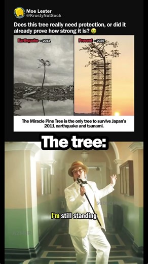The Treeeeeeeee #memes