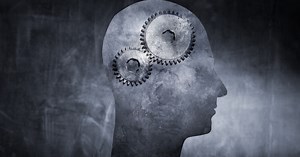 Maps provide "most detailed look ever" at how the brain organizes visual information