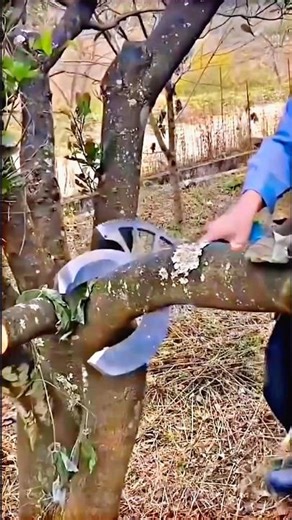 Easily cutting thick branches with a specialized tool