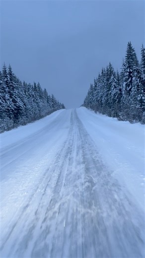 Have you driven the Icefields Parkway at night in winter? Icefields Parkway (Highway 93), Alberta, Canada 🇨🇦 #alberta #canada #explorealberta #banff #banffnationalpark #icefieldsparkway #storm #winterstorm | Explore Alberta