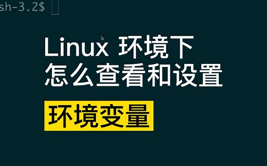 linux 环境下怎么查看和设置环境变量