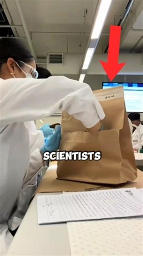 How Forensic Scientists Work‼️