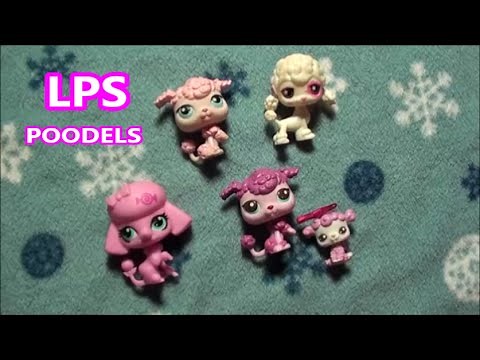 My Littlest Pet Shop POODLE Collection