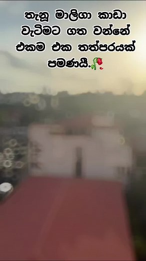 Kasun Tharaka (@kasun_official_007)’s videos with original sound - montagemusick - Montage