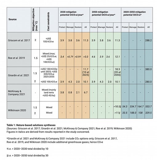 Why 'Nature-based solutions' are the key to achieving net-zero