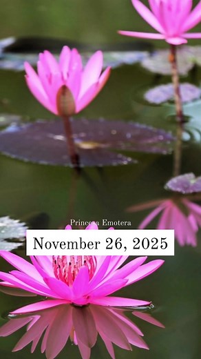 May God’s light guide your steps today. As you rise, may your heart be filled with peace, your mind with clarity, and your spirit with strength. Lord, bless my plans, protect my path, and surround me with Your favor. Amen. 🙏 #MorningPrayer #BlessedDay #FaithAndHope #GodsGrace #DailyInspiration #prayerworks Disclaimer: This prayer is shared for inspiration and encouragement. It does not intend to promote any religious bias and is open for everyone who seeks positivity and peace. | Prayers and Po