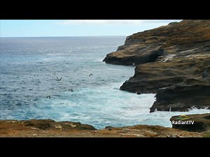 I Surrender All | RadiantTV