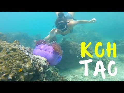 Koh Tao Thailand | A DAY IN PARADISE!