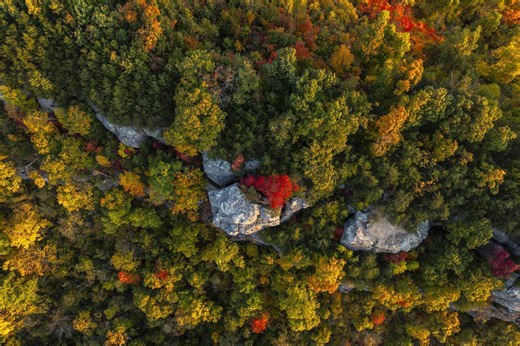 Berea College wins yearslong legal battle to protect 'unique, historical' forest
