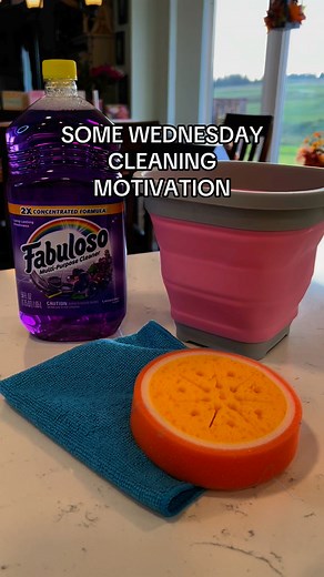 34K views · 241 reactions | Some cleaning motivation for this Wednesday. I wrote a cleaning e-book with everything I use. If you love how I clean, you’ll love this  comment “e-book” for the link. #cleaninghacks | Danielle Tays | Facebook