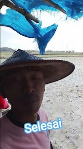 finished planting #algorithm #algorithm