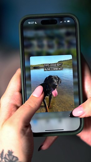 iPhone 14 Tips & Tricks: Sending Multiple Photos in One Swipe