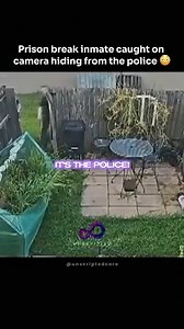 137K views · 956 reactions | Prison Escapee Caught Hiding in Backyard Trash Bin — Shocking Moment Captured on Home Security Camera. Watch full video here https://brightmomments.com/2025/10/08/prison-escapee-caught-hiding-in-backyard-trash-bin-shocking-moment-captured-on-home-security-camera/ | Field Commander | Facebook