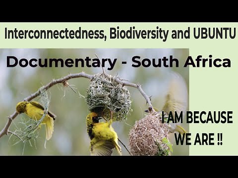 Interconnectedness, Biodiversity and UBUNTU. I AM BECAUSE WE ARE. #documentary
