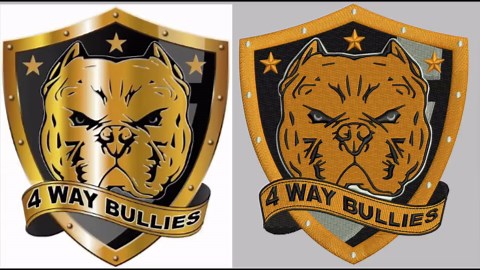 Custom Embroidery Digitizing Service: DST, PES File - Etsy