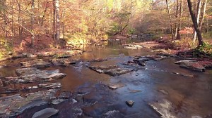 15K views · 231 reactions | Renew Our Rivers started at Alabama Power and has spread all over the Southeast, helping improve our waterways. | Southern Company | Facebook