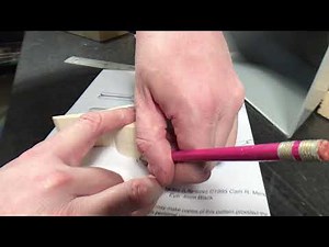 Carving the Black-Capped Chickadee - First Measurements