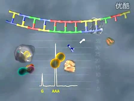 焦磷酸基因测序Pyrosequencing工作原理