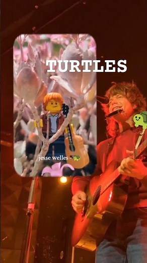 Jesse Welles - Turtles 🐢 (Live) feat. LEGO tribute ‪@chimp.bricks‬