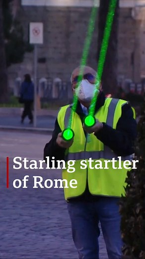 123K views · 296 shares | Between one and four million starling birds gather in the Italian capital Rome every winter, on their migration from Europe to Africa. Their formations in the skies are beautiful – but their droppings create a hazard and the city authorities are trying new methods to move them on from certain locations. bbc.in/38PGQY9 | BBC News | Facebook