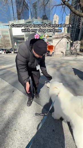 NYC's Top Dog-Friendly Tour