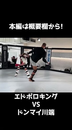 巨乳柔道: エドポロキング 切り抜きとブレイキングダウンのおかげで更に強くなる