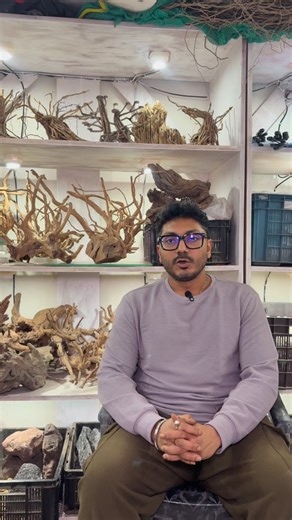 That Fish Place on Instagram: "Ask Ritam Episode 4 How to Select the Right Filter for your Aquarium. Explained in Detail with clarification on various filter types, Flow Rate Rule, keeping Tank sizes and Fish Types in Mind and Much more. Watch full video to know All about Aquarium Filters in Detail. Like and Share for more such Educational videos. Comment topics that you want us to make videos on. Our Shop Representatives are here to help you with placing order on calls and provide stock video.