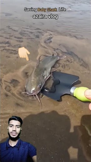 Hero Saves A Giant Fish Stranded On The Beach! 😱🐟 #Humanity #shorts #animals