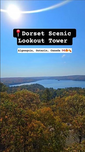 Chased the colours all the way up Dorset Tower 🌅🍁 Totally worth every step! #shorts #canada #autumn