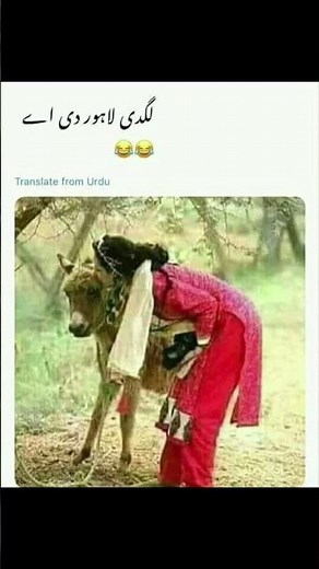 😂 Funniest Fails & Memes Compilation | Try Not To Laugh Challenge | Oops Jungle