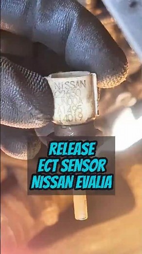 RELEASE ECT SENSOR #nissanevalia #nissan #sensor #temperature #cooling # #automobile #mechanic