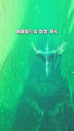 가평에서 찾은 맑고 깨끗한 계곡🌿💦#계곡#가평계곡 #경기도계곡#계곡여행 #금개울유원지