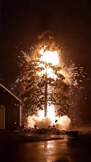 3-INSANE Lightning Strikes Trees on Camera | Unbelievable Moments #LightningStrike #CaughtOnCamera