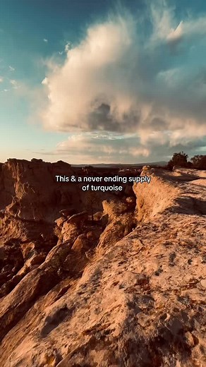 Turquoise Tuesday on TikTok