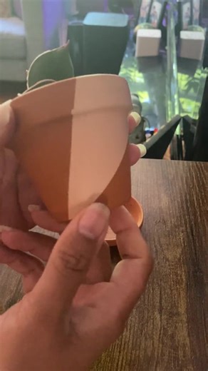 Hand Painted Terracotta Plant Pot: Custom Colors, Drainage Hole - Etsy