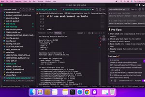 Security vulnerability analysis