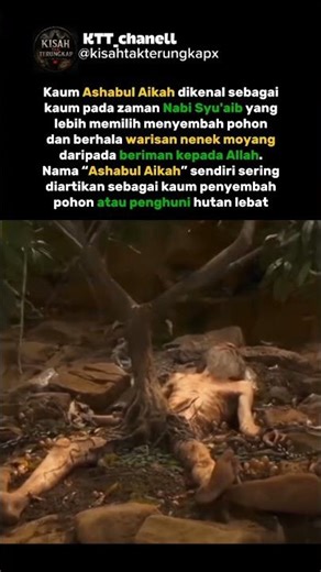 Kaum penyembah pohon dan curang dalam berdagang hingga di azab allah.‼️