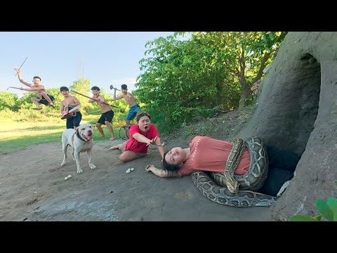 Shocking Jungle Rescue! Girl Dragged by Giant Python Until Pitbulls and Hunters Attack